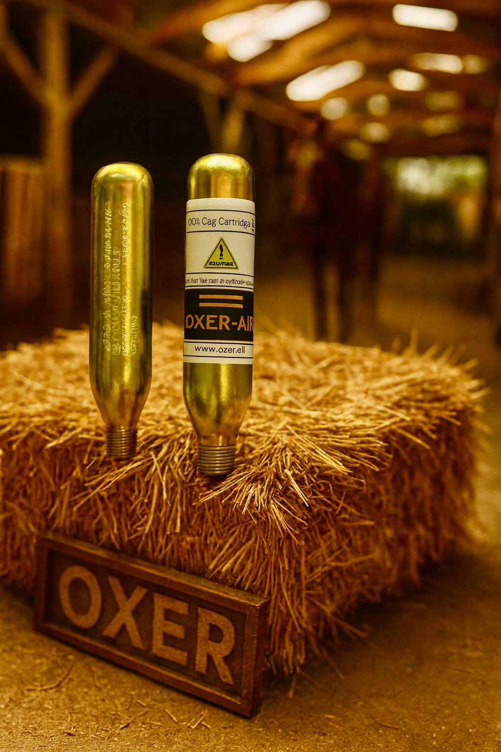 Cilindro de CO2 OXER